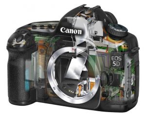 EOS 5D